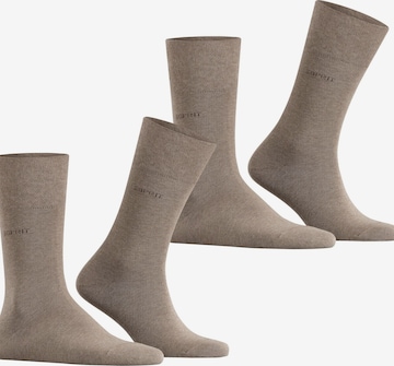 ESPRIT Socks 'Basic Easy 2-Pack' in Brown: front