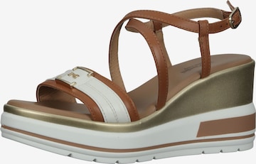 Nero Giardini Sandals in Brown: front