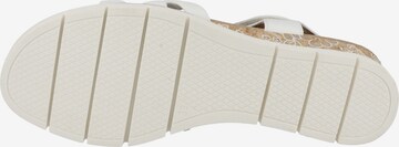 CAPRICE Sandalen met riem in Wit