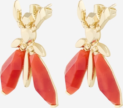 Auskarai 'ORECCHINI' iš PATRIZIA PEPE, spalva – Auksas / raudona, Prekių apžvalga