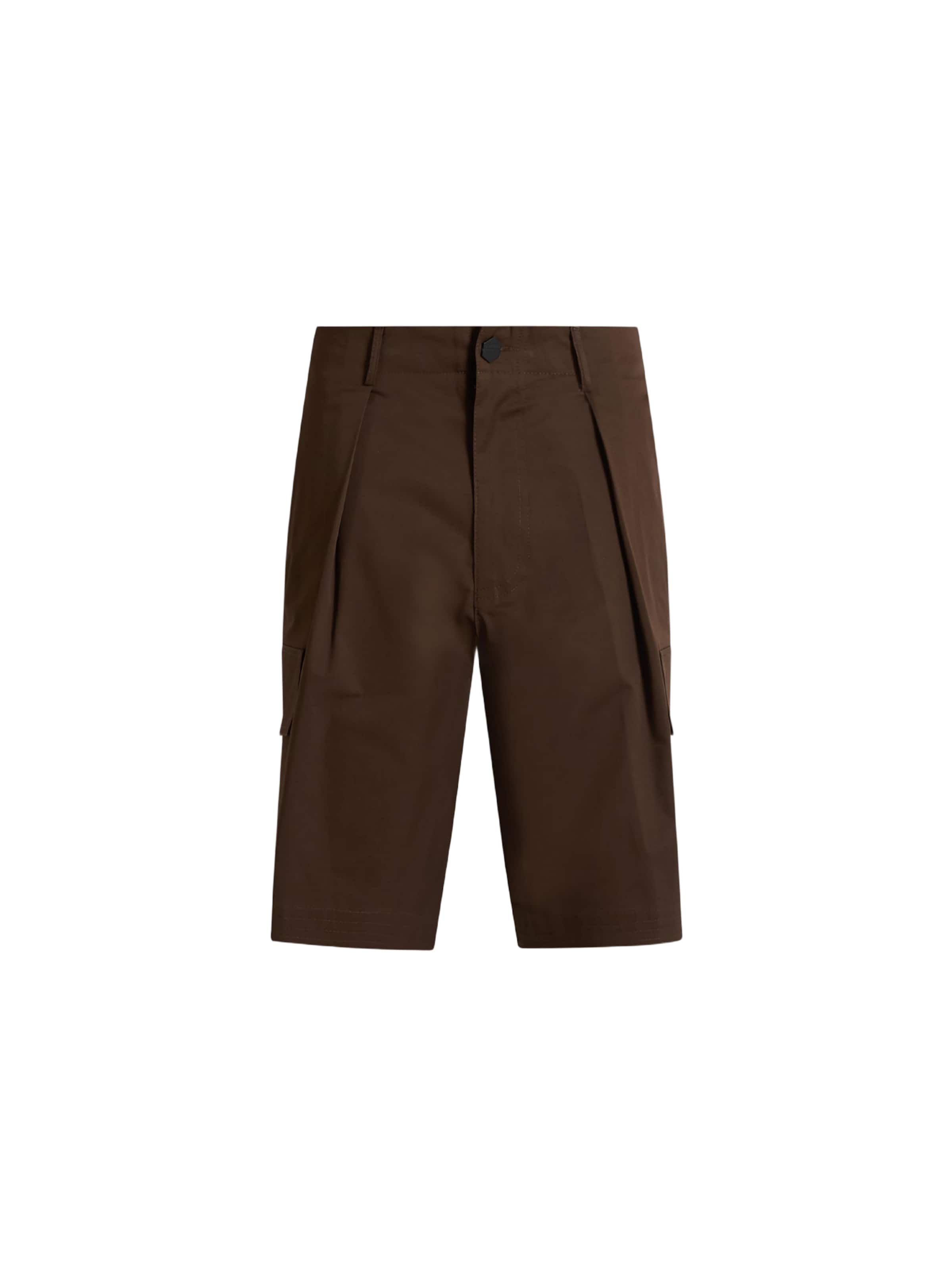 DARK LABEL Regular Pleat-Front Pants in Brown: front