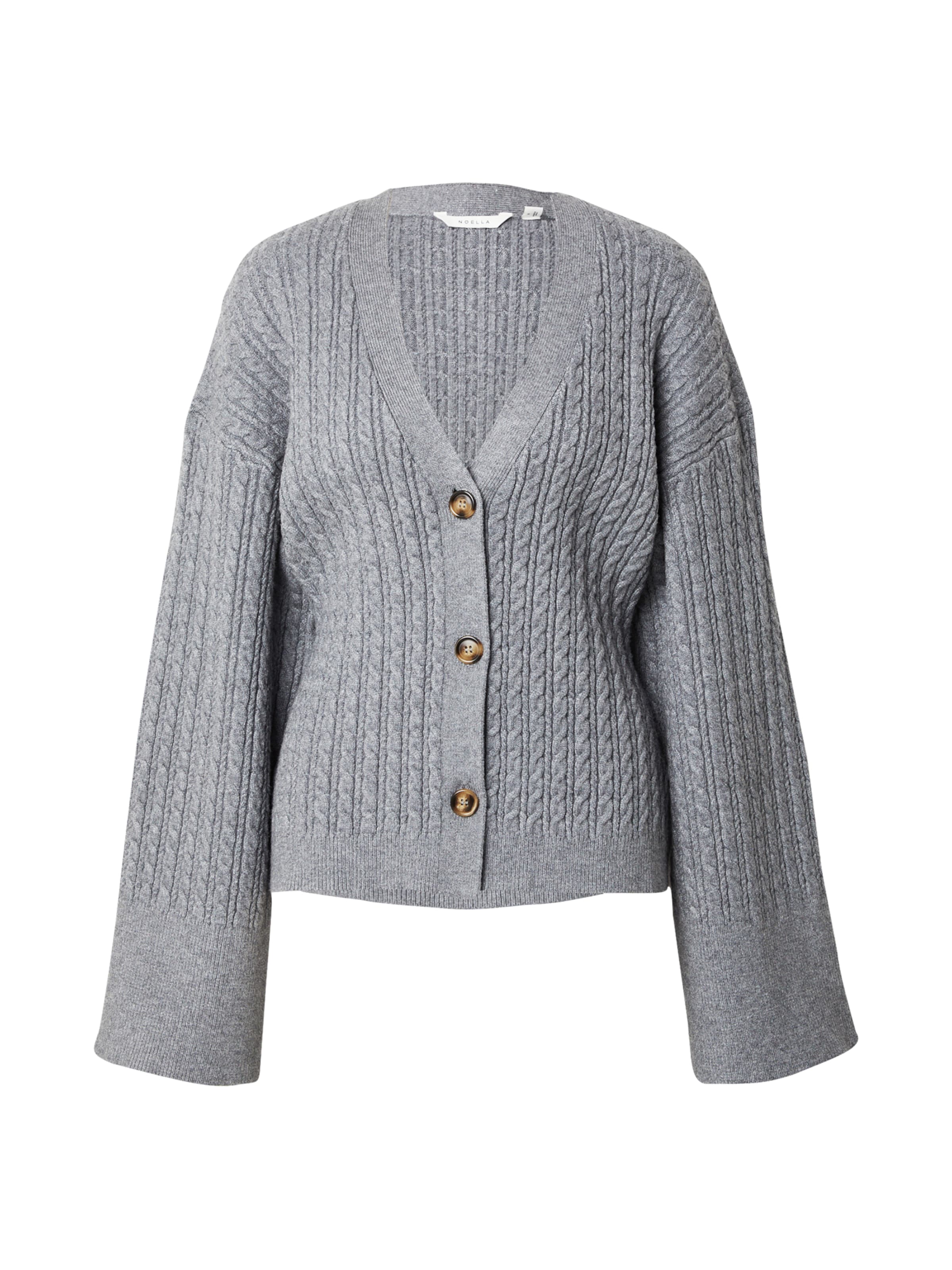 Noella Knit cardigan 'Lenyx' in Grey: front