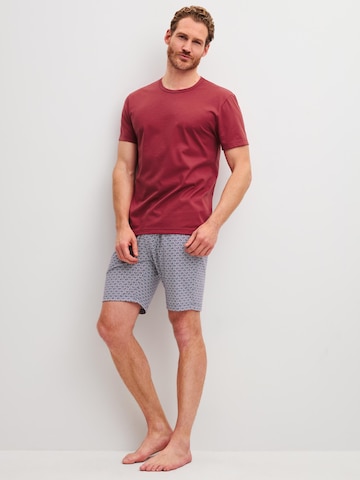 CALIDA Short Pajamas 'Cotton Special' in Purple: front