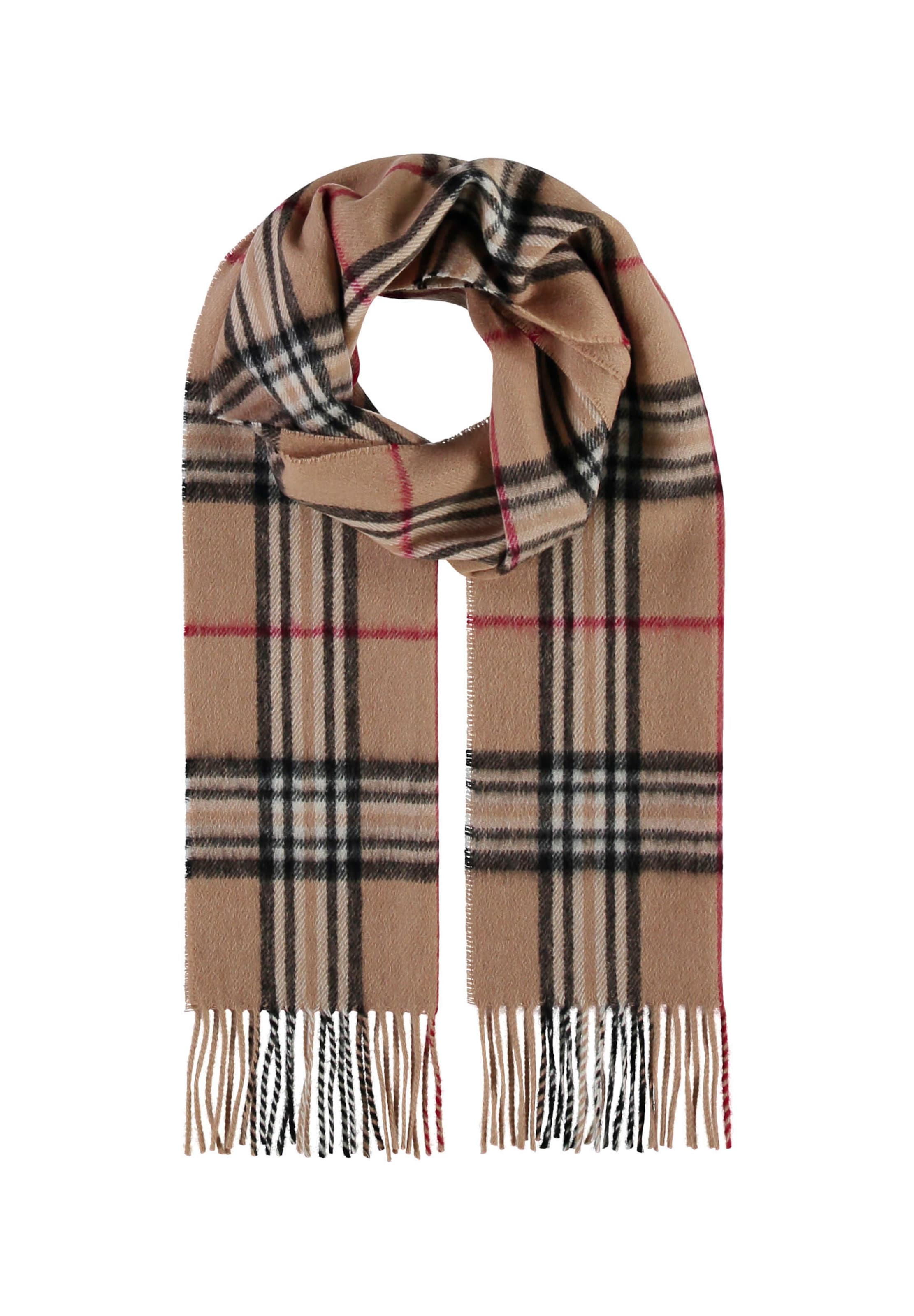 FRAAS Schal in Braun: Vorderseite