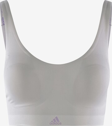 ADIDAS SPORTSWEAR Bralette Bra ' NAKED 2PLY BRA ' in Grey: front