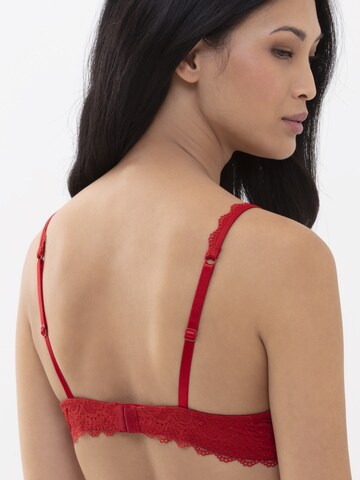 Mey Push-up Bra in Red