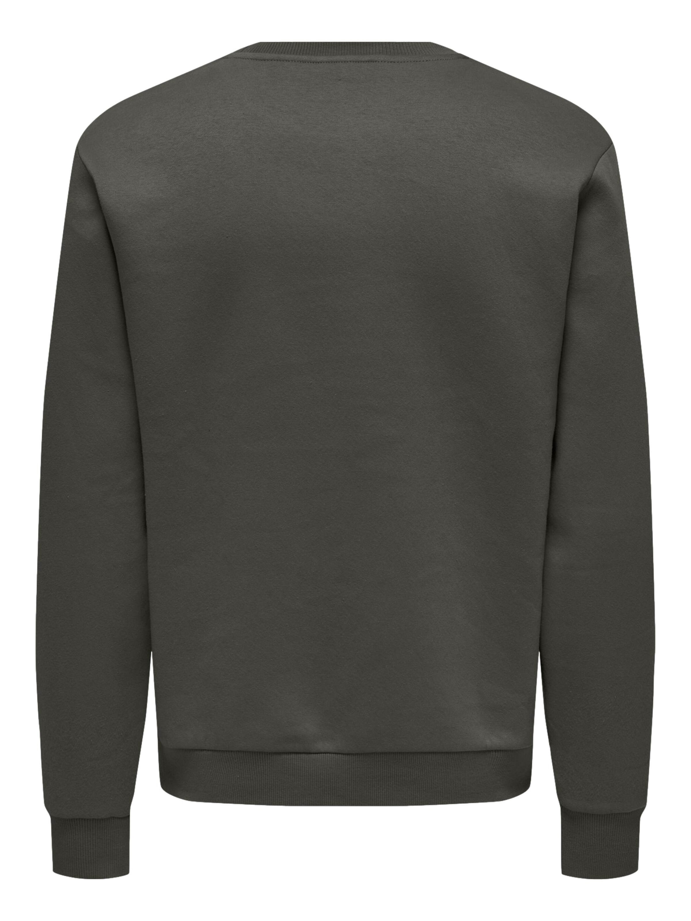 Only & Sons Regular Fit Sweatshirt 'ONSCERES' in Grün