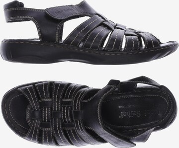 JOSEF SEIBEL Sandals & High-Heeled Sandals in 38 in Black: front