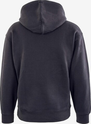 Levi's Skateboarding Sweatshirt 'Skate Hooded Sweatshirt' in Zwart