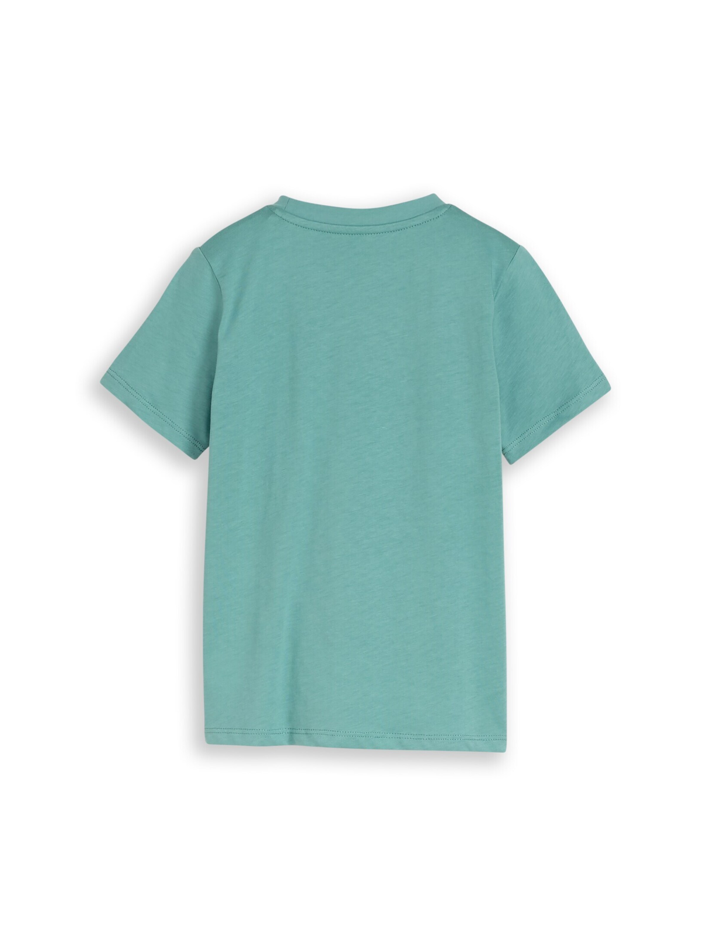 TOM TAILOR Shirt in Green