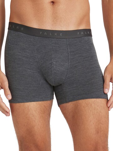 FALKE Boxer shorts in Grey: front