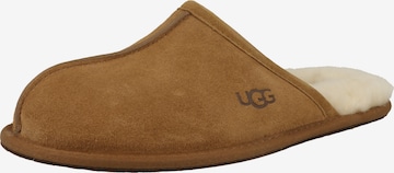 UGGPapuče 'Scuff' - smeđa boja: prednji dio