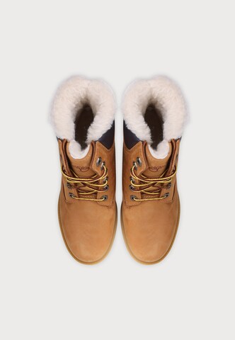 TIMBERLAND Gležnarji z vezalkami | rjava barva