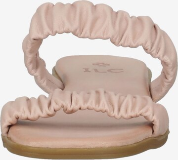 ILC Pantolette in Pink