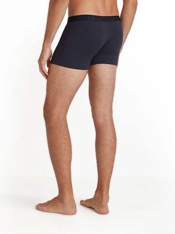 FALKE Boxer shorts in Grey