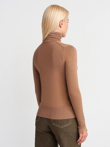 Dilvin Pullover 'Pullover'‌‌‌‌‌‌‌ in Braun