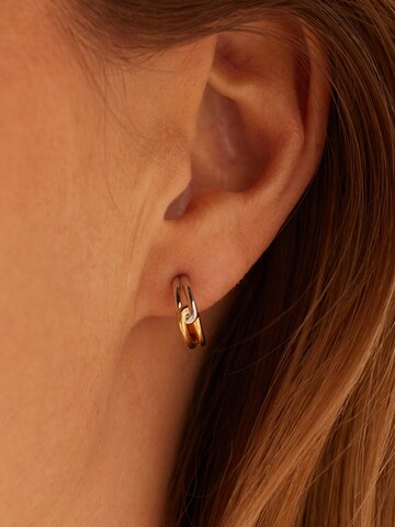 Lucardi Oorbellen 'Schick' in Zilver: voorkant