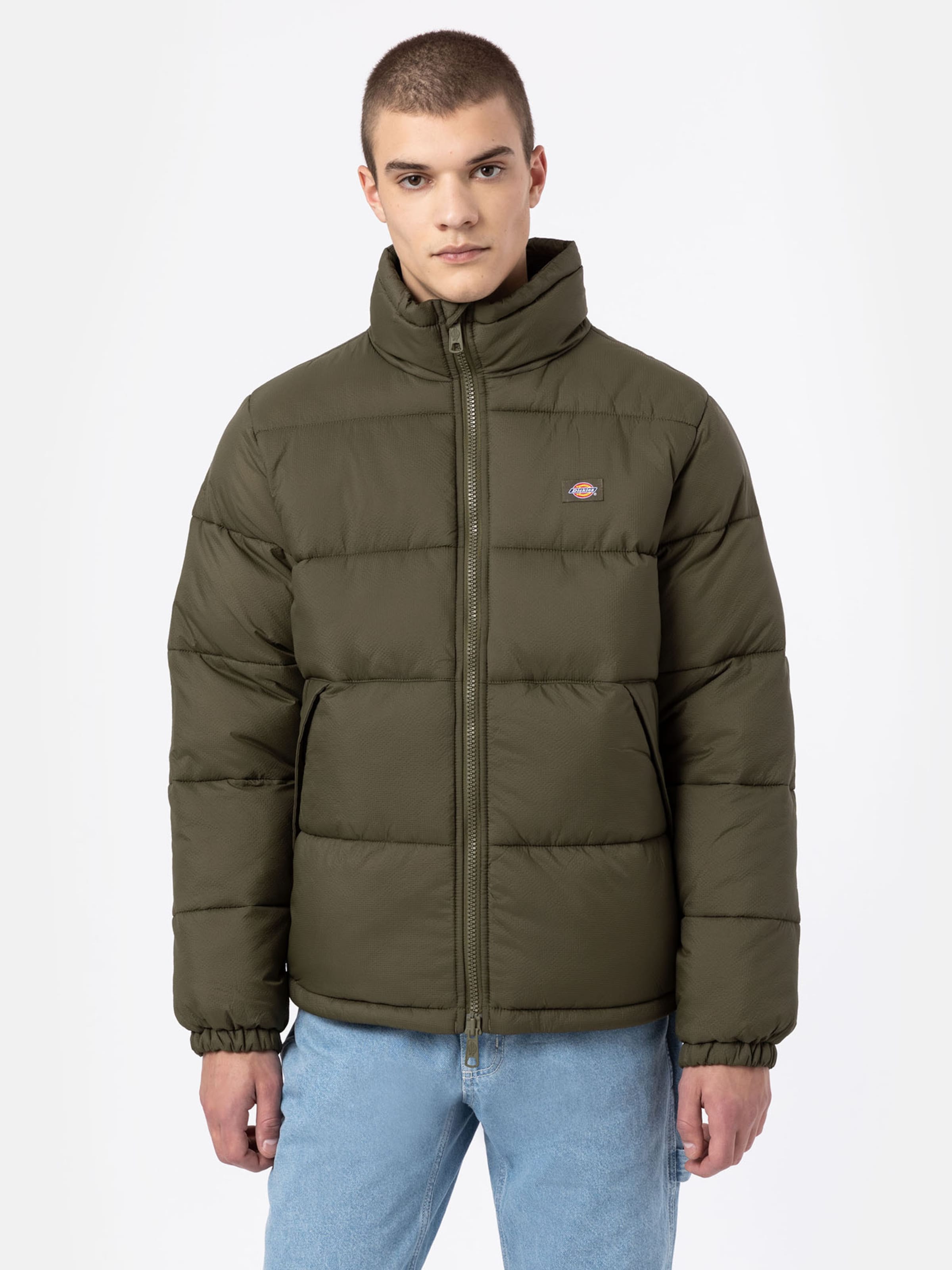 Dickies 2025 winter jacket