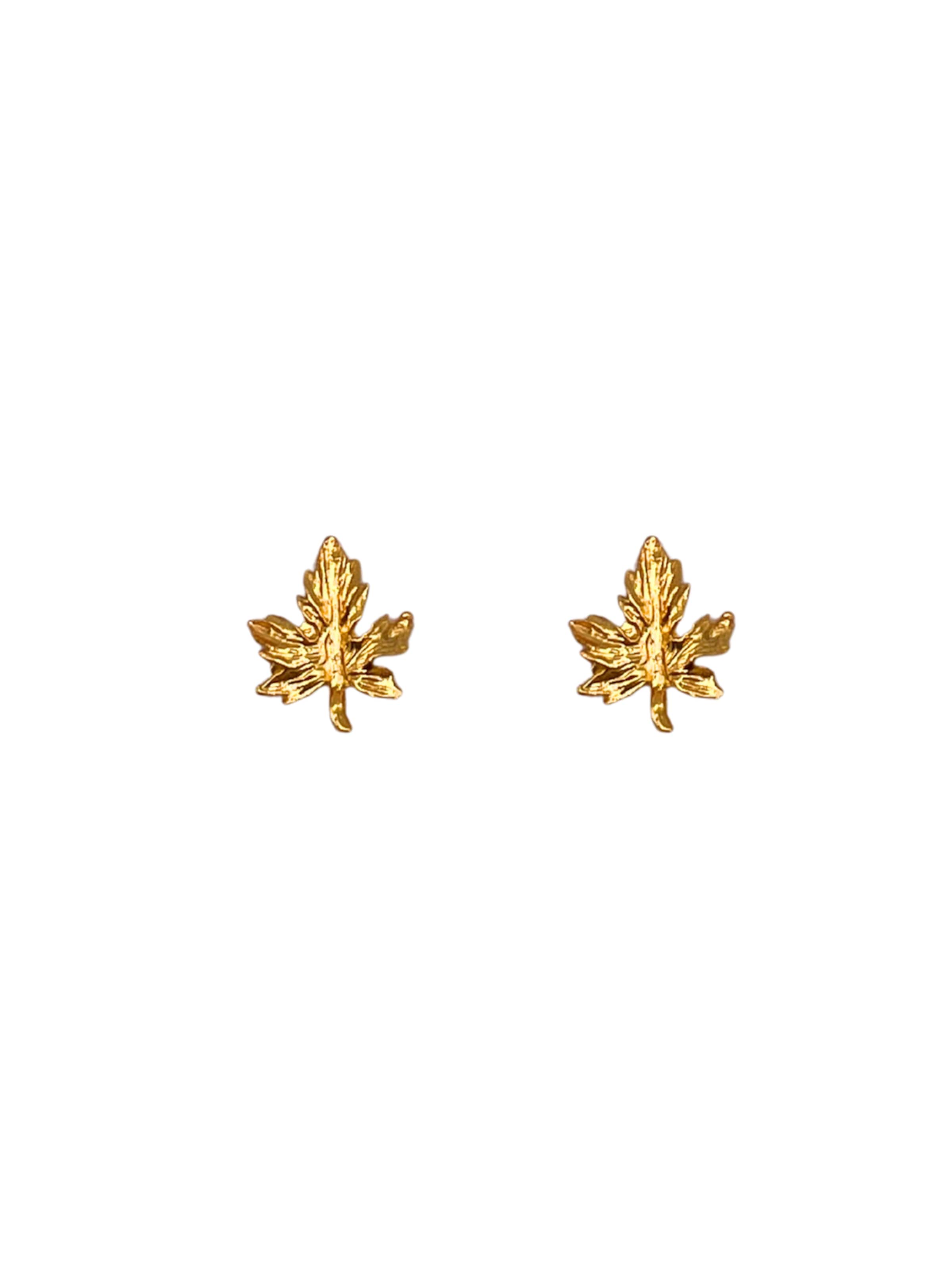 Boucles d'oreilles 'Petite Leaf' Les Reines en or : devant