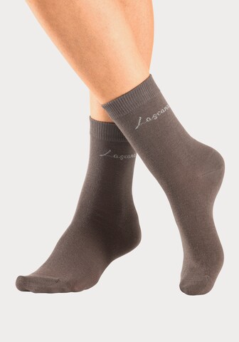 LASCANA Socken in Braun