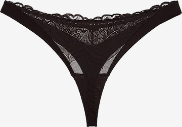 ESOTIQ Thong in Brown: front