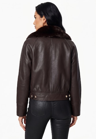 faina Between-season jacket in Brown