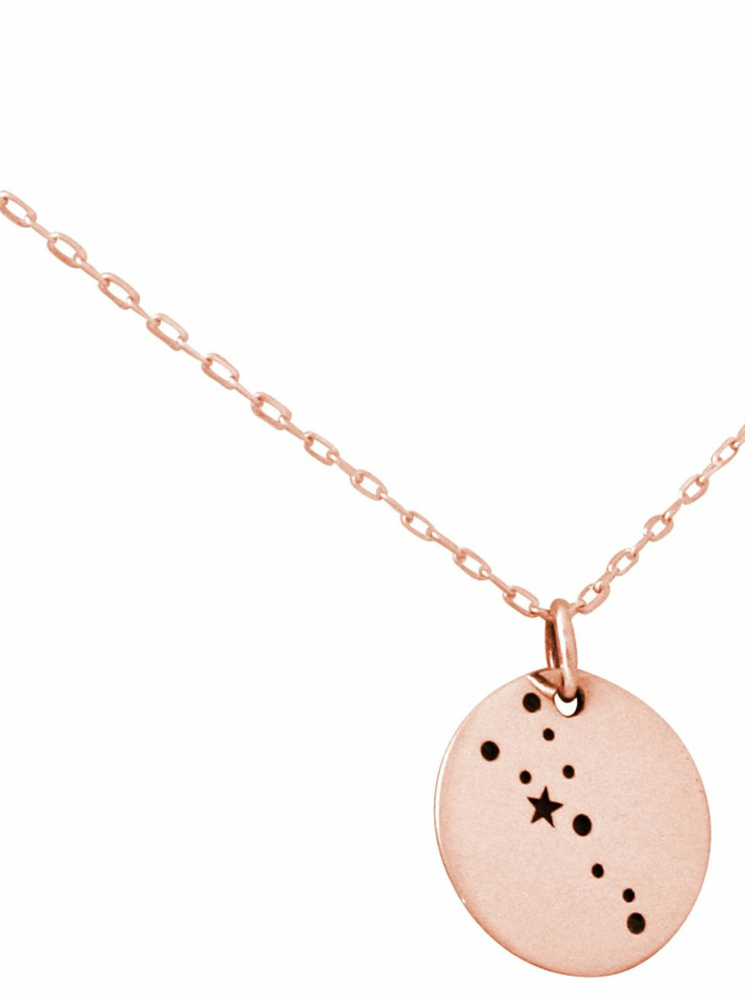 Gemshine Ketting 'Horoskop Sternzeichen Taurus Stier' in Goud