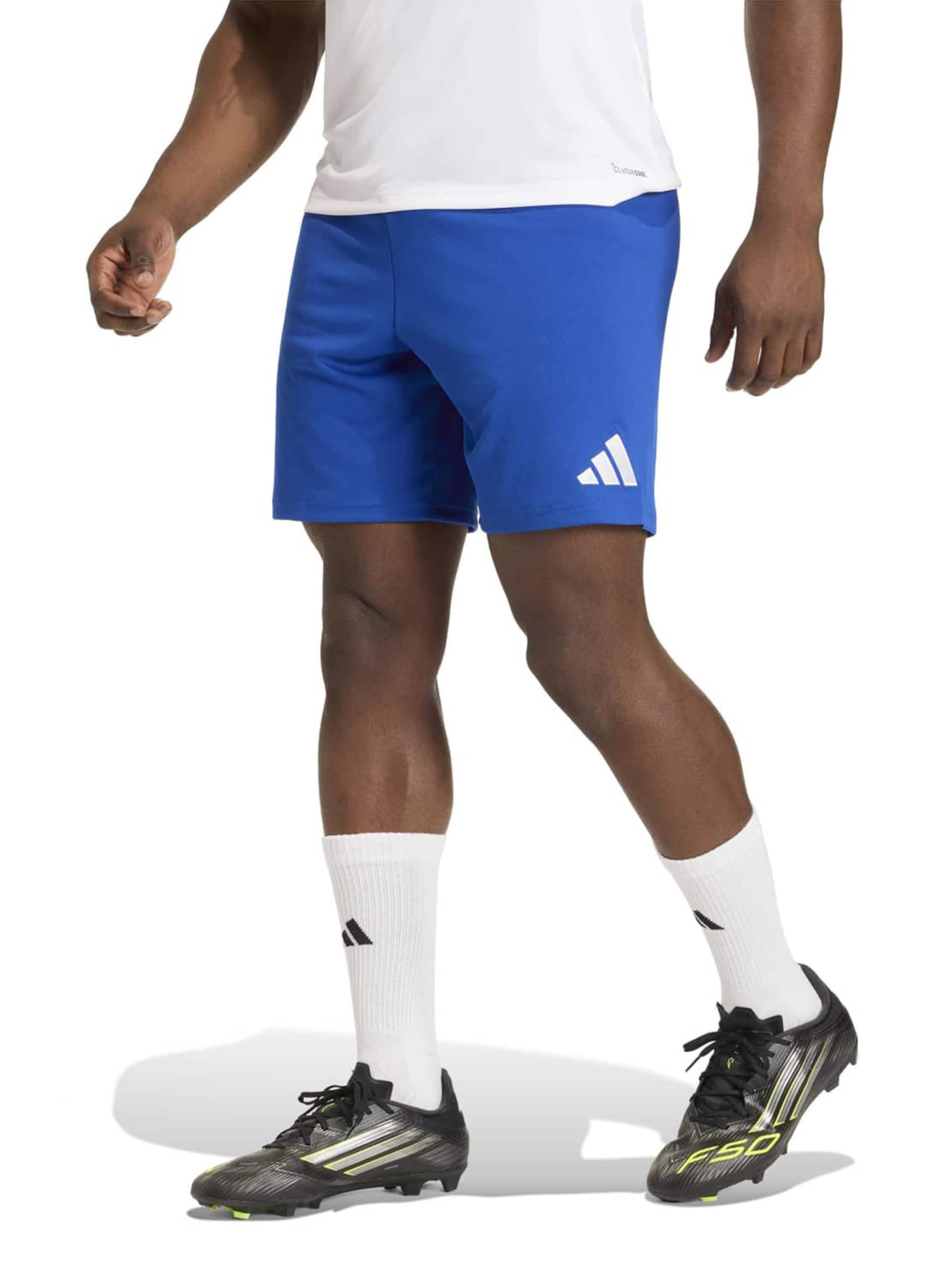 ADIDAS PERFORMANCEregular Sportske hlače 'ENT26' - plava boja: prednji dio