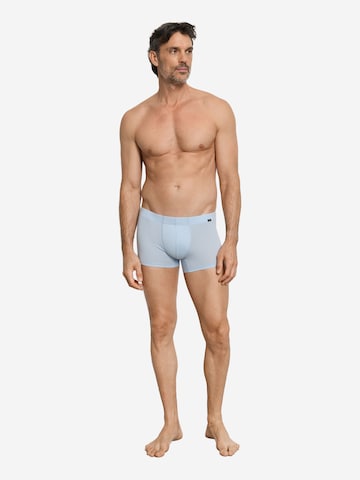 Hanro Boxershorts ' Cotton Essentials ' in Blauw