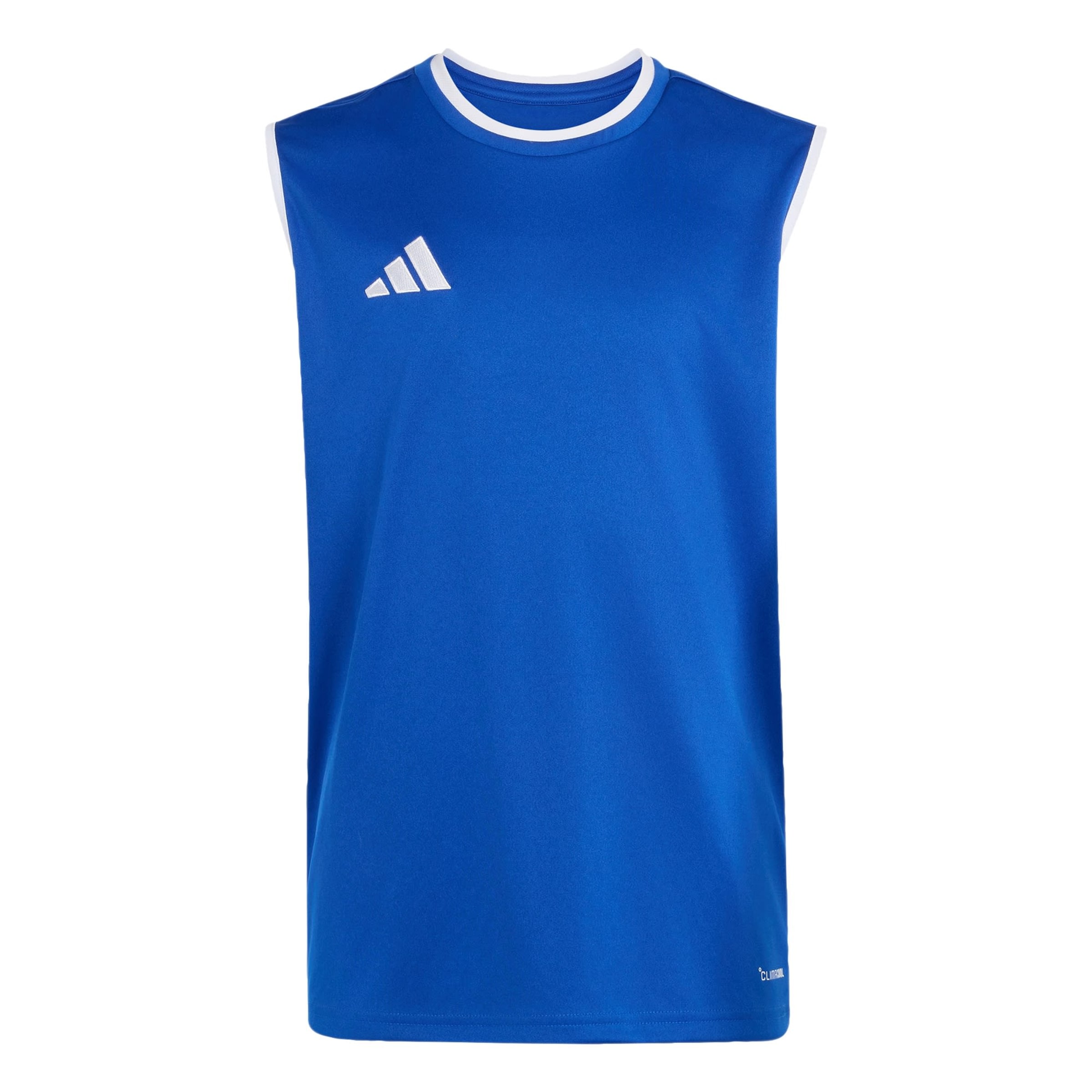 ADIDAS PERFORMANCE Performance shirt 'Entrada26' in Blue: front
