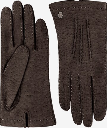 Roeckl Full Finger Gloves 'Davos' in Brown: front