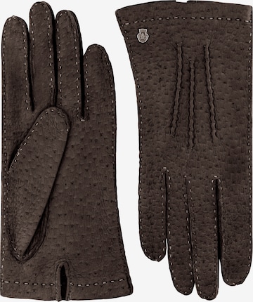 Roeckl Full Finger Gloves 'Davos' in Brown: front