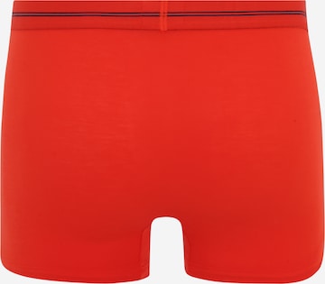 Calvin Klein Underwear - Calzoncillo boxer en rojo