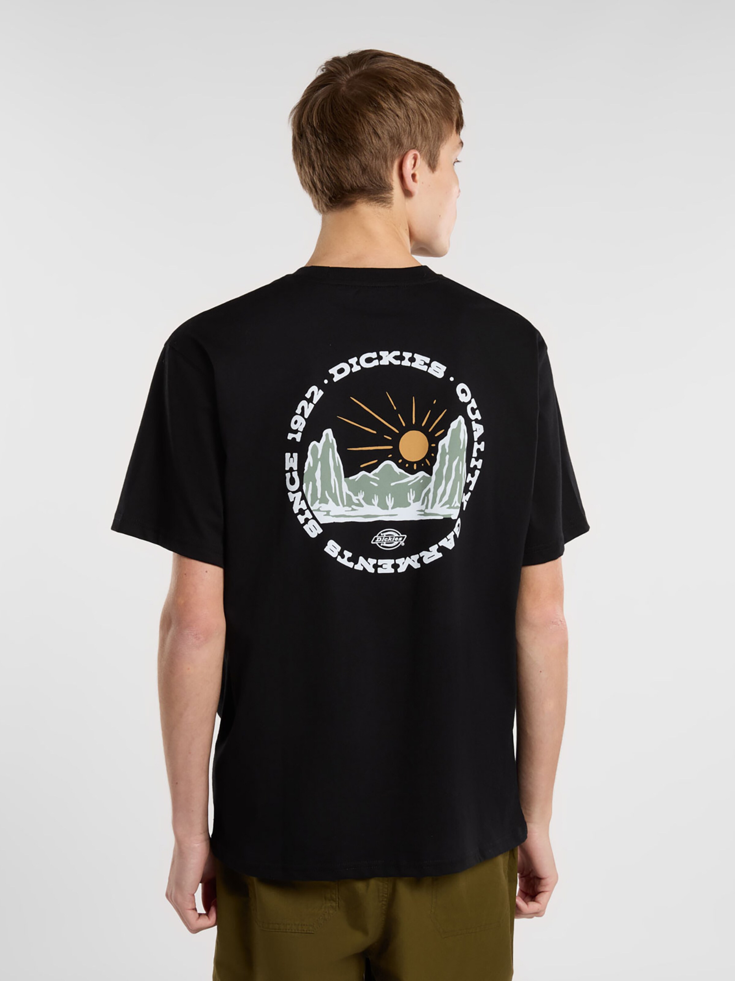 DICKIES Särk, värv must: eest vaates