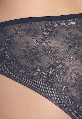 sassa Boyshorts ' NEW LUXURY LACE' in Blue