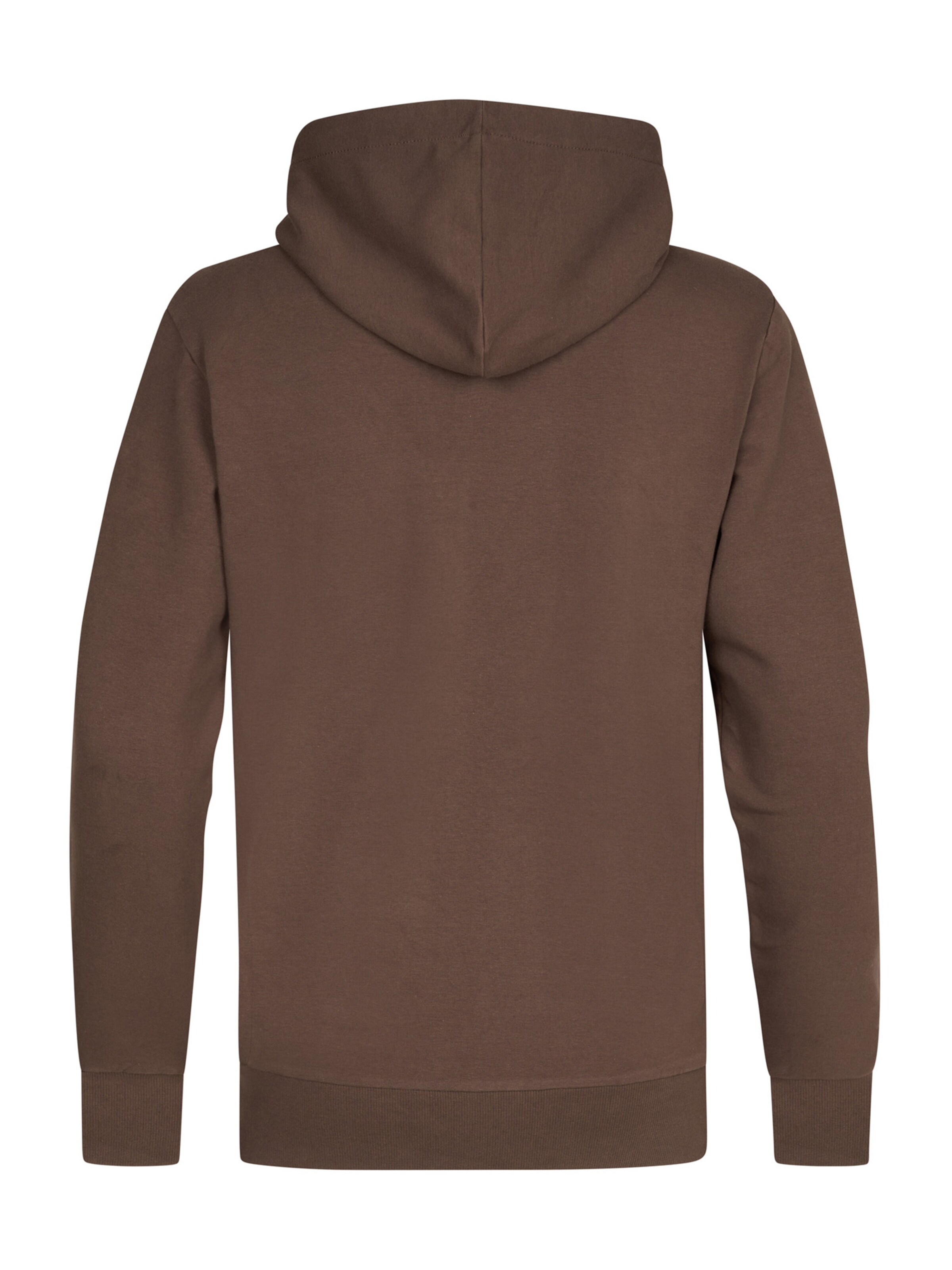 Petrol Industries Свитшот 'Driftwood' в Коричневый