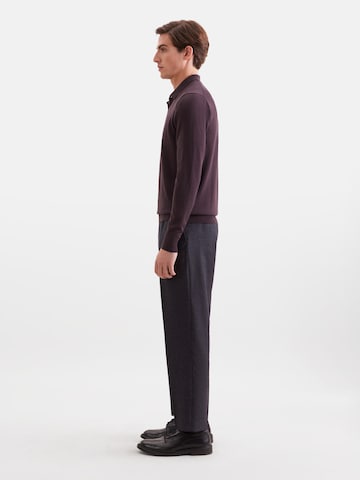 SEIDENSTICKER Sweater in Brown