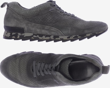 Kennel & Schmenger Sneaker 39,5 in Grau: predná strana