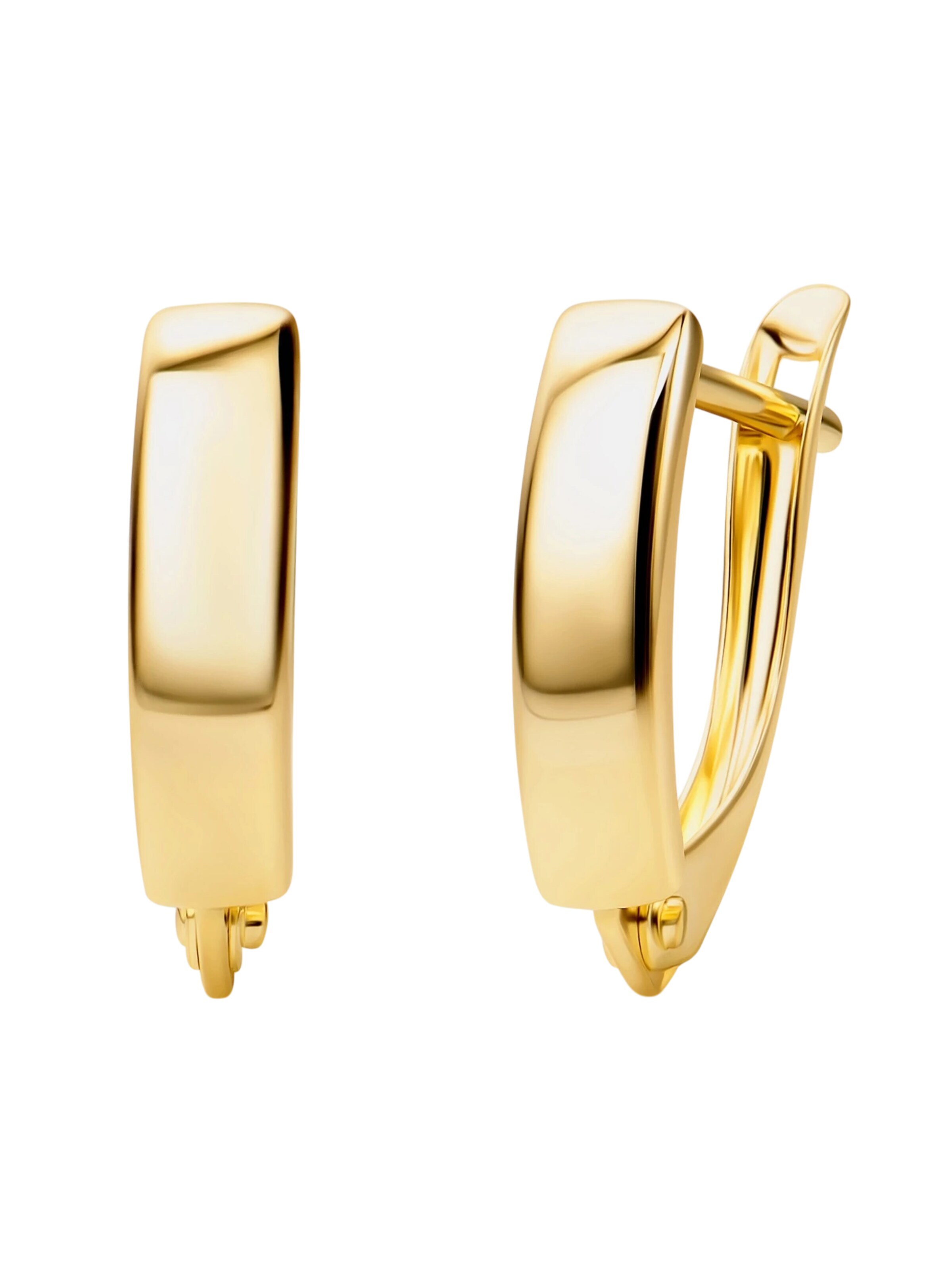 DIAMANT LETERNEL Earrings 'Ohrringe aus 585 Gelbgold' in Gold: front
