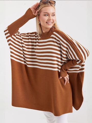 Bigdart Trui in Bruin