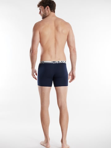 TOM TAILORBokserice - plava boja