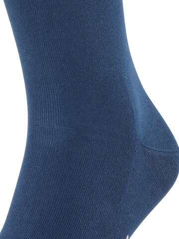 FALKE Socks in Blue