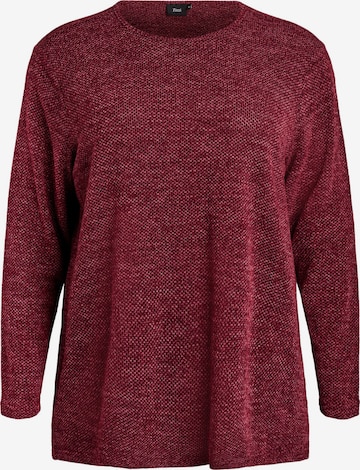 ZizziPulover 'Cavig' - crvena boja: prednji dio