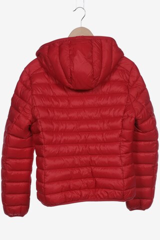 SAVE THE DUCK Jacket & Coat in XXL in Red