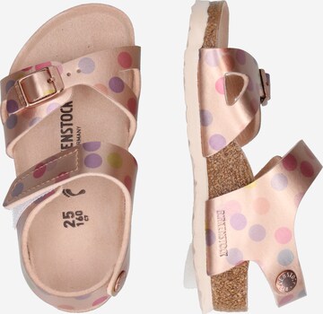 BIRKENSTOCK Sandale 'Colorado' in Pink