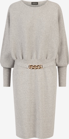 APART Strickkleid in Grau: Vorderseite