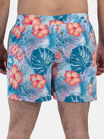 Shorts de bain Frozen Cape en mélange de couleurs
