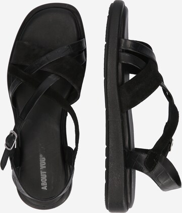 ABOUT YOU Strap Sandals 'Adriana' in Black