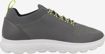 Baskets basses 'Spherica' GEOX en gris