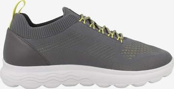 GEOX Sneaker 'Spherica' in Grau